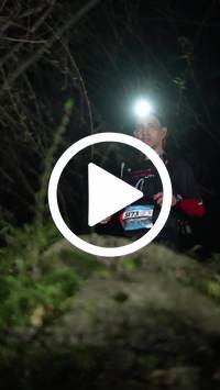 BIB:  <button type="button" onclick="openModal(27921405)" class="btn btn-primary btn-sm float-right" data-toggle="modal" data-target=".modal-high-quality">
                <i class="fa fa-download"></i> Download
                </button>